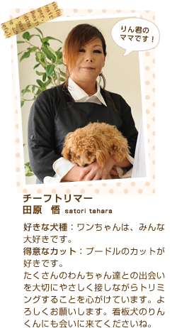 チーフトリマー
田原  悟 satori tahara
好きな犬種：ワンちゃんは、みんな大好きです。
得意なカット：プードルのカットが好きです。
たくさんのわんちゃん達との出会いを大切にやさしく接しながらトリミングすることを心がけています。よろしくお願いします。看板犬のりんくんにも会いに来てくださいね。

